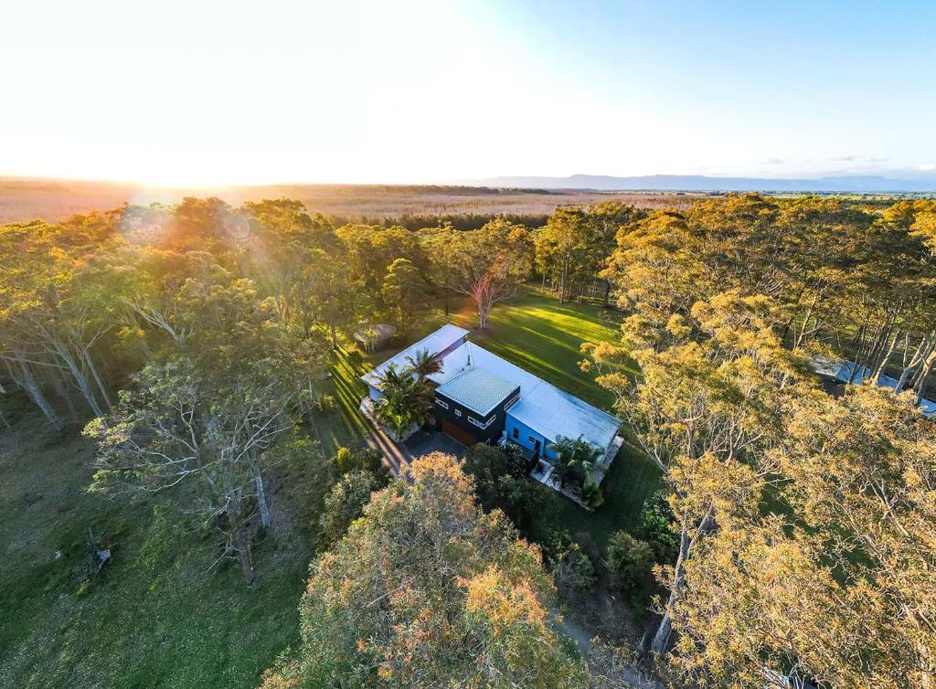 an overhead view of a house in the trees at Springbank House in Jindy Andy