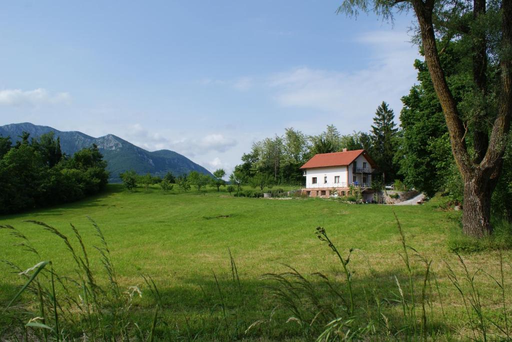 ein Haus mitten auf einem Feld in der Unterkunft Apartments Leni in Postojna