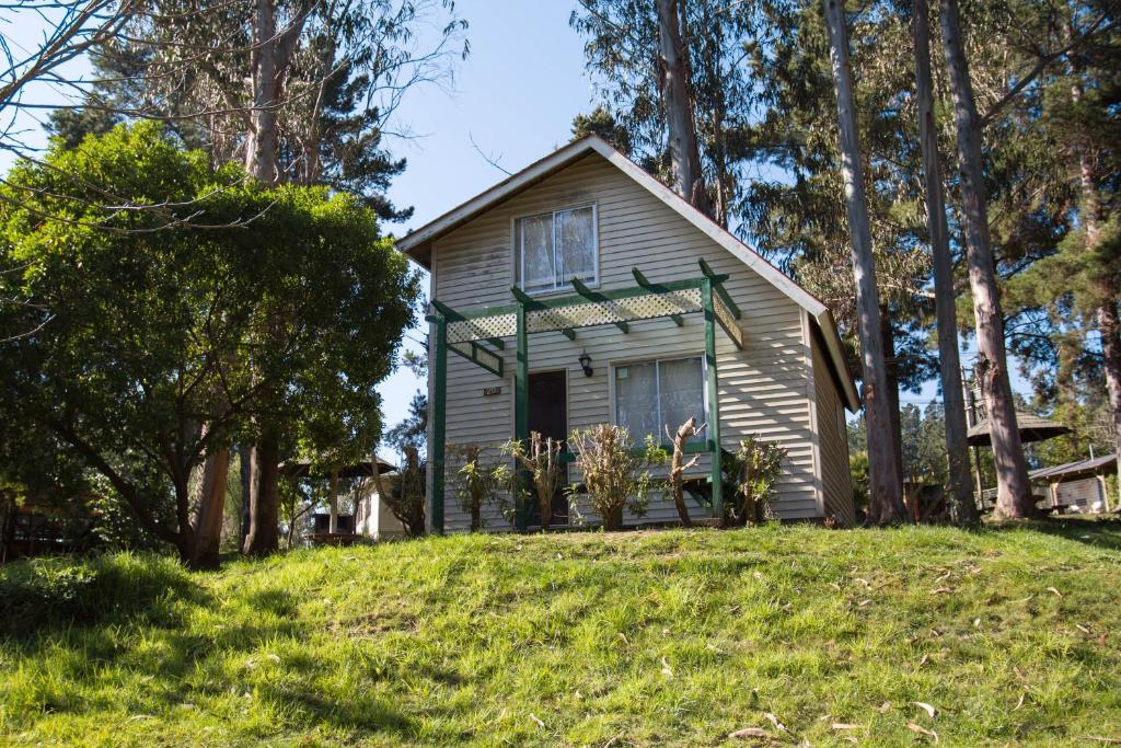 una pequeña casa en una colina con árboles en Cabañas Huallilemu Norte - Caja Los Andes, en El Quisco