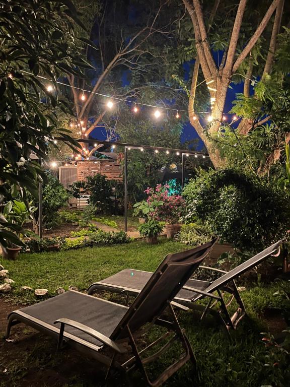 A garden outside Hostal Antigüeño