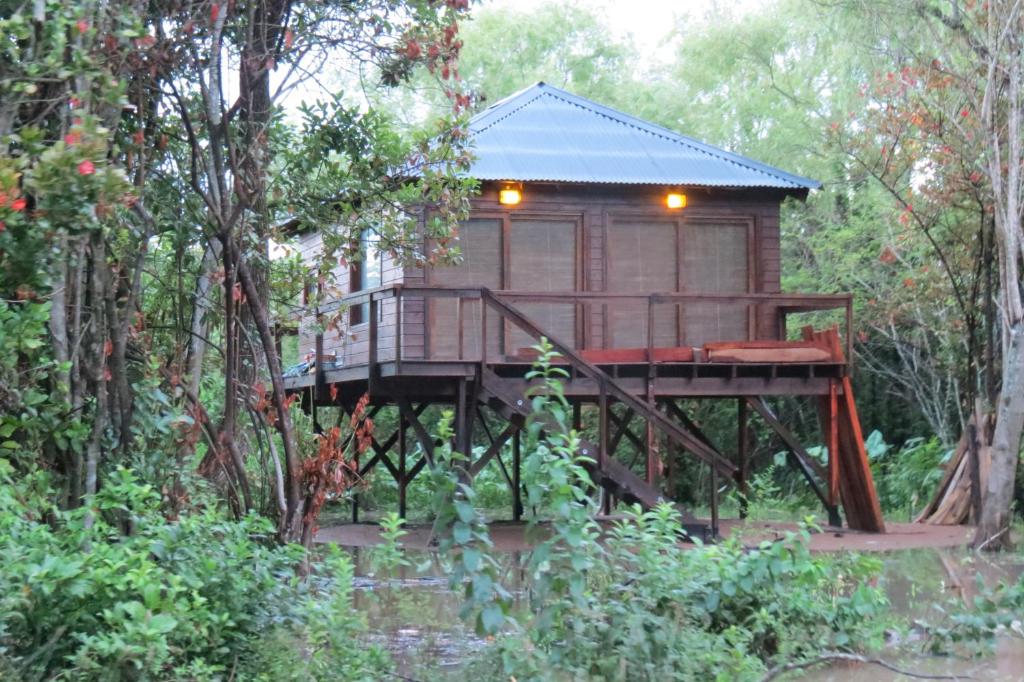 a tree house in the middle of a forest at La Tolerancia in Tigre