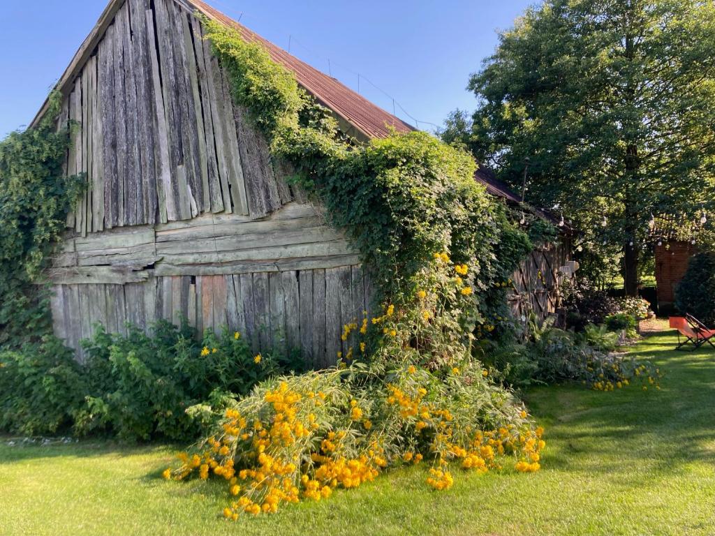 Garden sa labas ng Kolonia u Jasia Rajgród