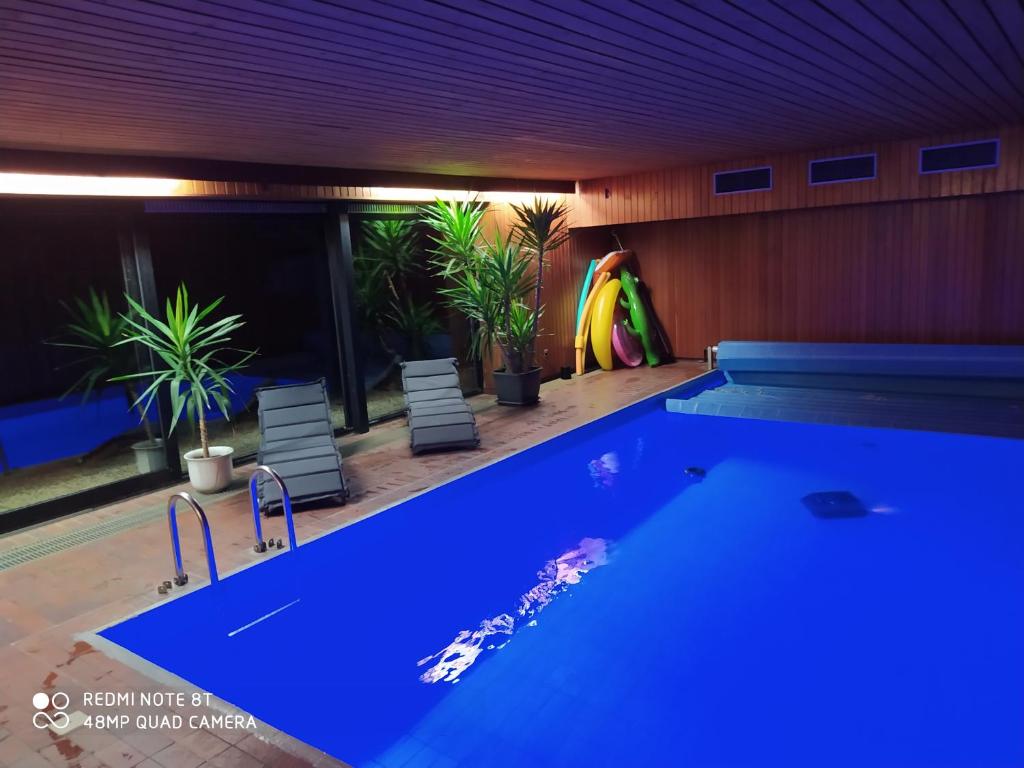 einen Pool mit blauem Wasser in einem Zimmer mit Pflanzen in der Unterkunft Park Villa Ferienwohnung mit Pool und 3 Schlafzimmer in Uelzen