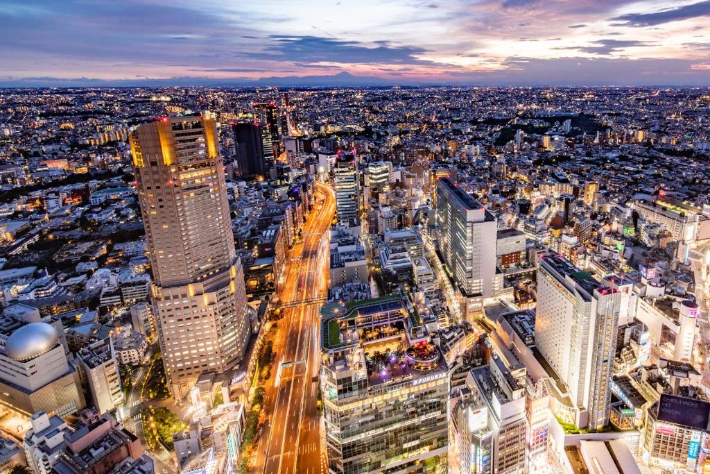 een luchtzicht op een stad 's nachts bij Cerulean Tower Tokyu Hotel, A Pan Pacific Partner Hotel in Tokyo