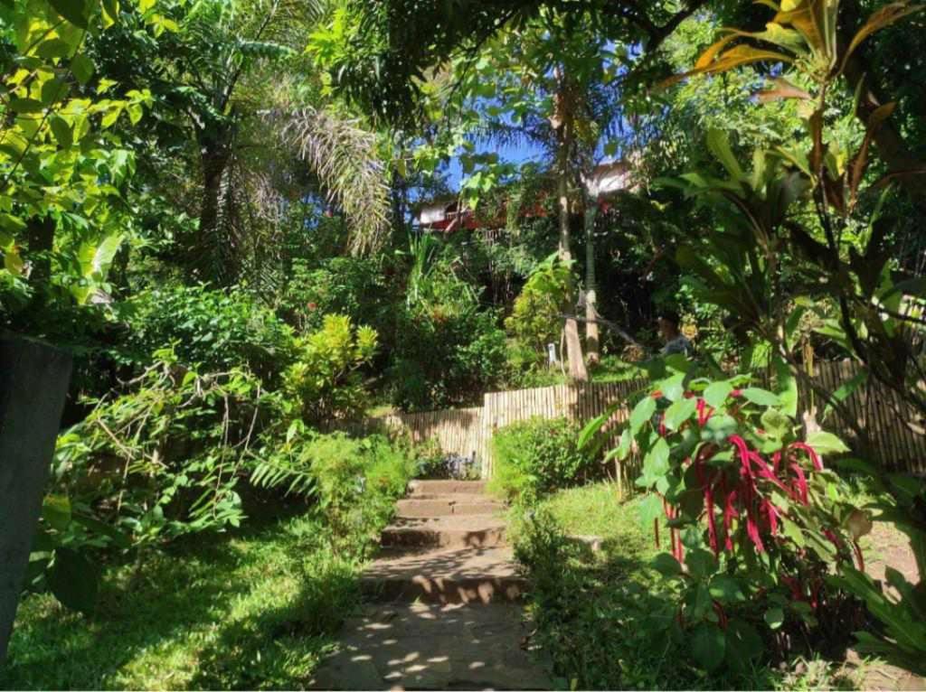 A garden outside Moemoea Lodge