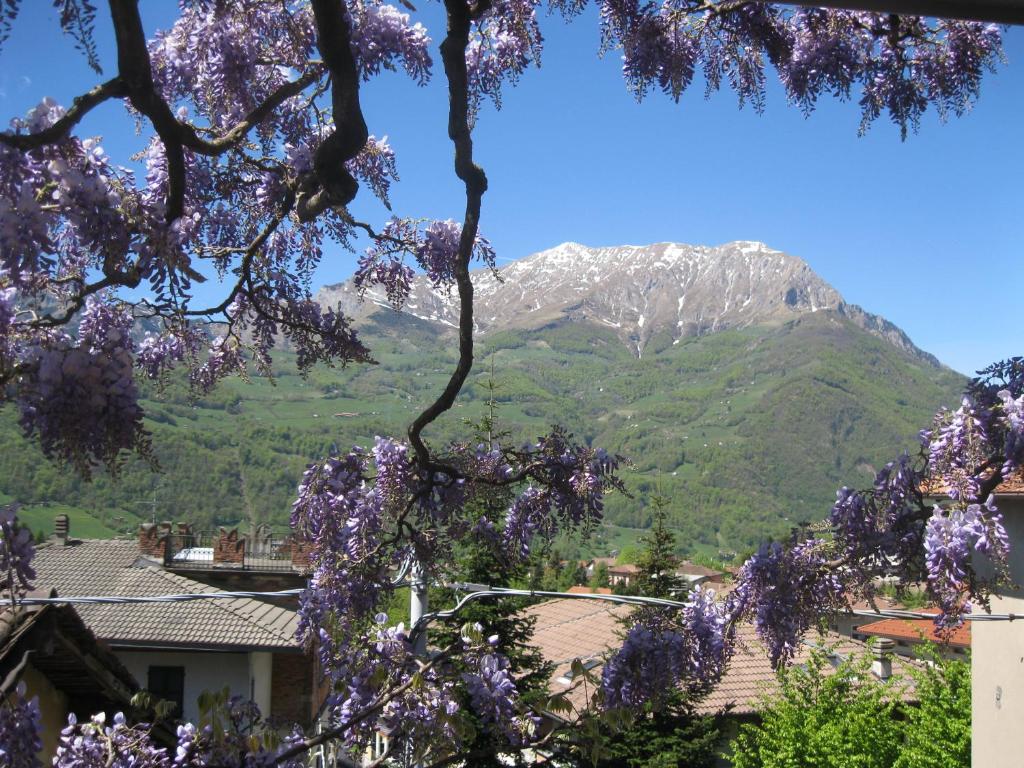 山景或從飯店拍的山景