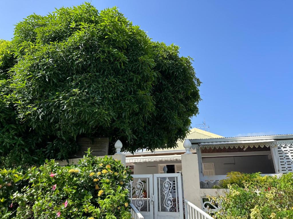 En trädgård utanför Villa à louer à Sainte-Anne en Martinique