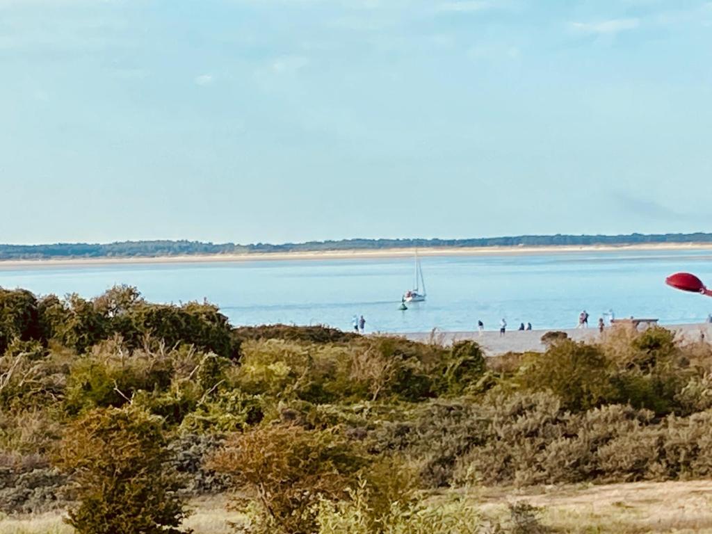 Naturlandskap nära lägenheten