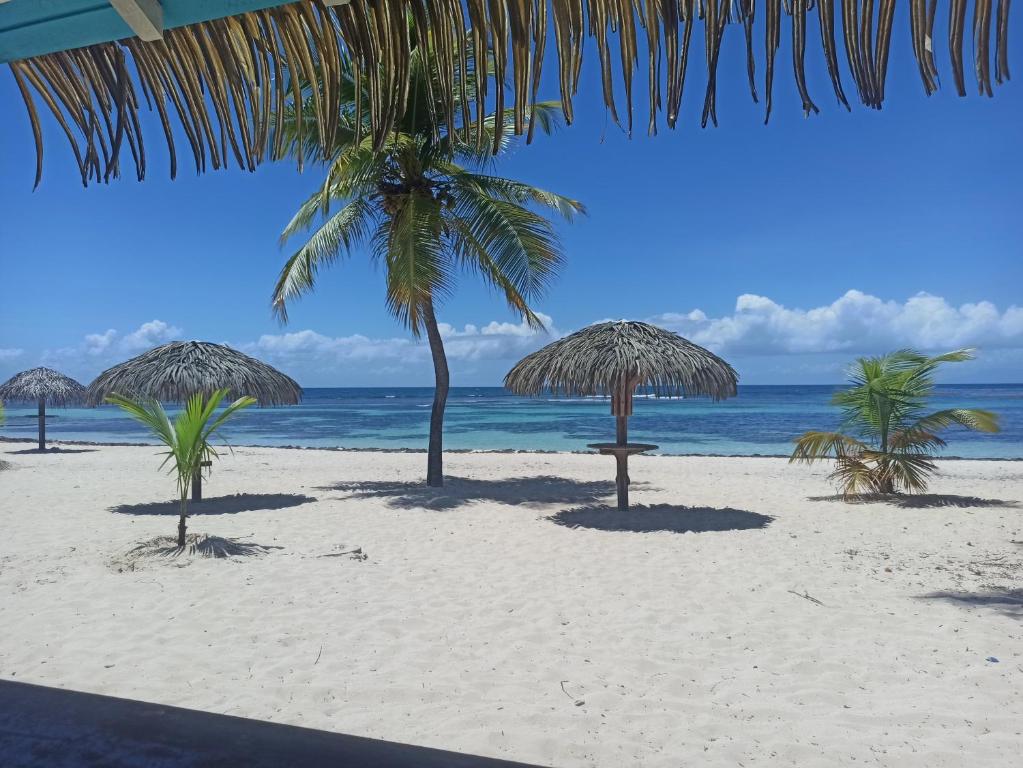 una spiaggia con alcuni ombrelloni di paglia e l'oceano di Kukumi's Suite Anse des Rochers a Saint-François