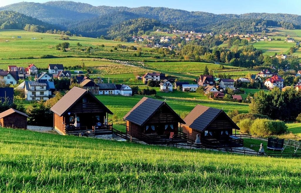 uma pequena aldeia num campo verde com casas em Trzy Szczyty-Wysoka em Grywałd