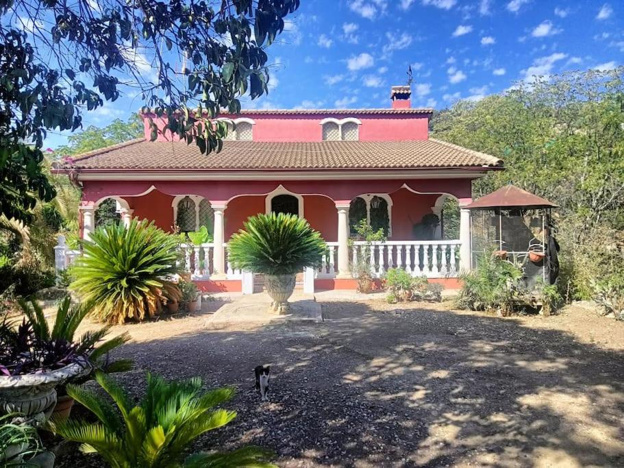 Vrt pred nastanitvijo Casa rural en el campo con animales, piscina y barbacoa