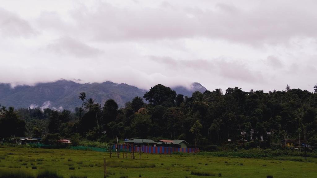 Afbeelding uit fotogalerij van Jungleview Mudumalai in Mudumalai