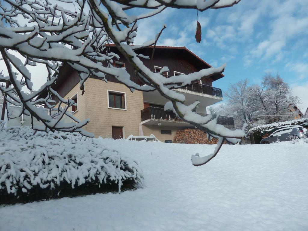 een huis met sneeuw op de takken van een boom bij Studio Bellevue indépendant rénové janvier 2023 piscine parking proche centre Annecy in Poisy