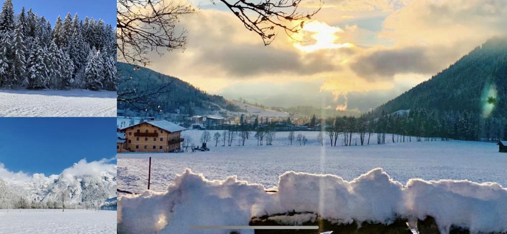 un grupo de cuatro fotos de un campo cubierto de nieve en Alpen Appartements Oberlehengut, en Werfenweng