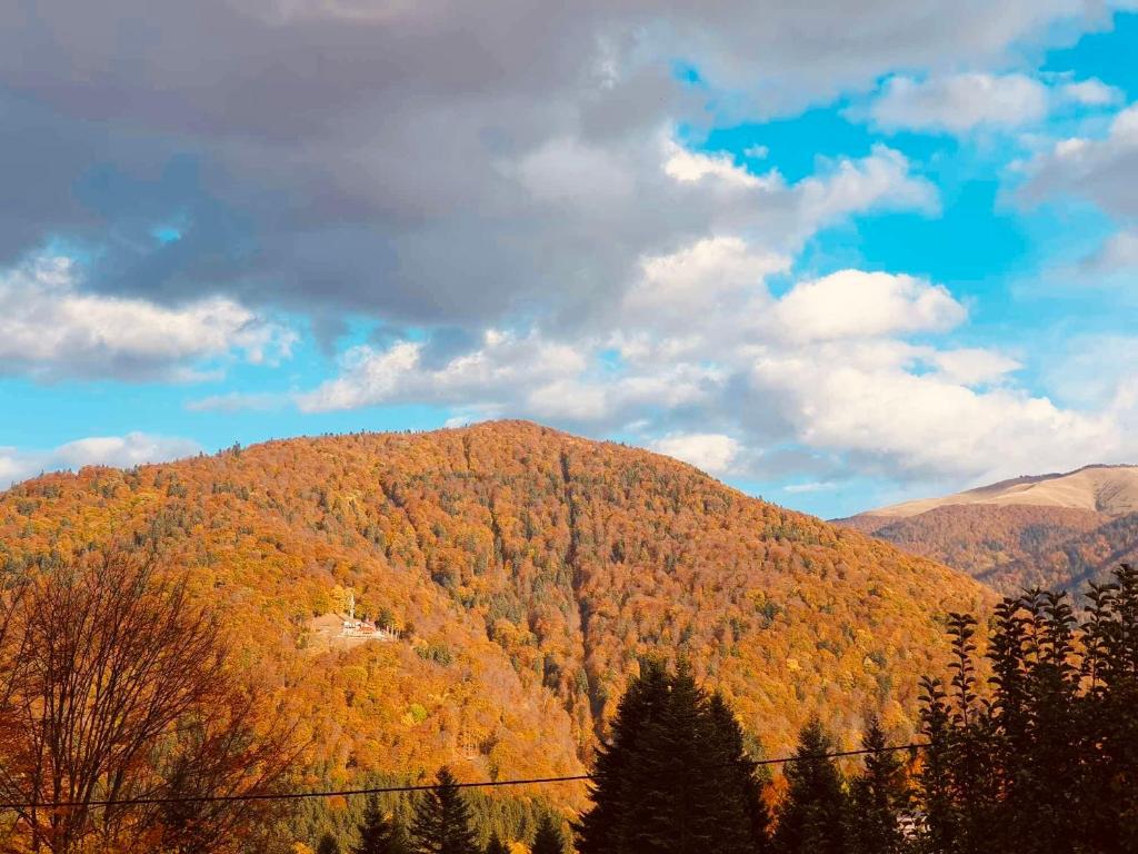 una vista de una montaña con hojas de otoño en ella en Iepurasul Sinaia, en Sinaia