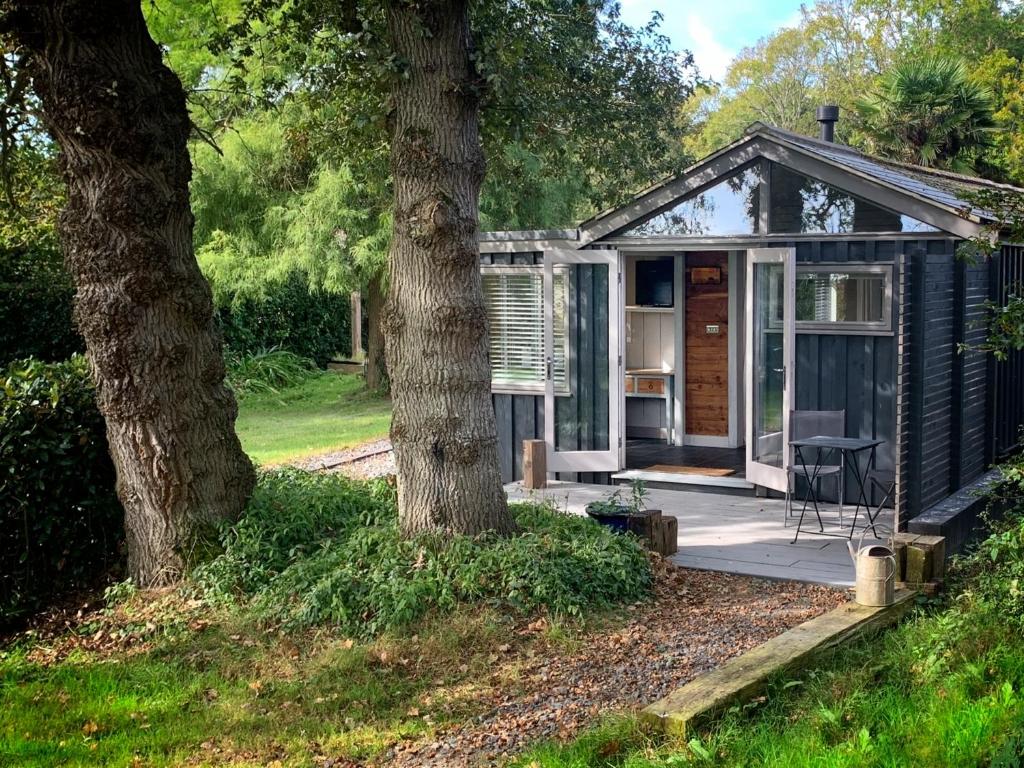 Vrt pred nastanitvijo Isle of Wight Cabin