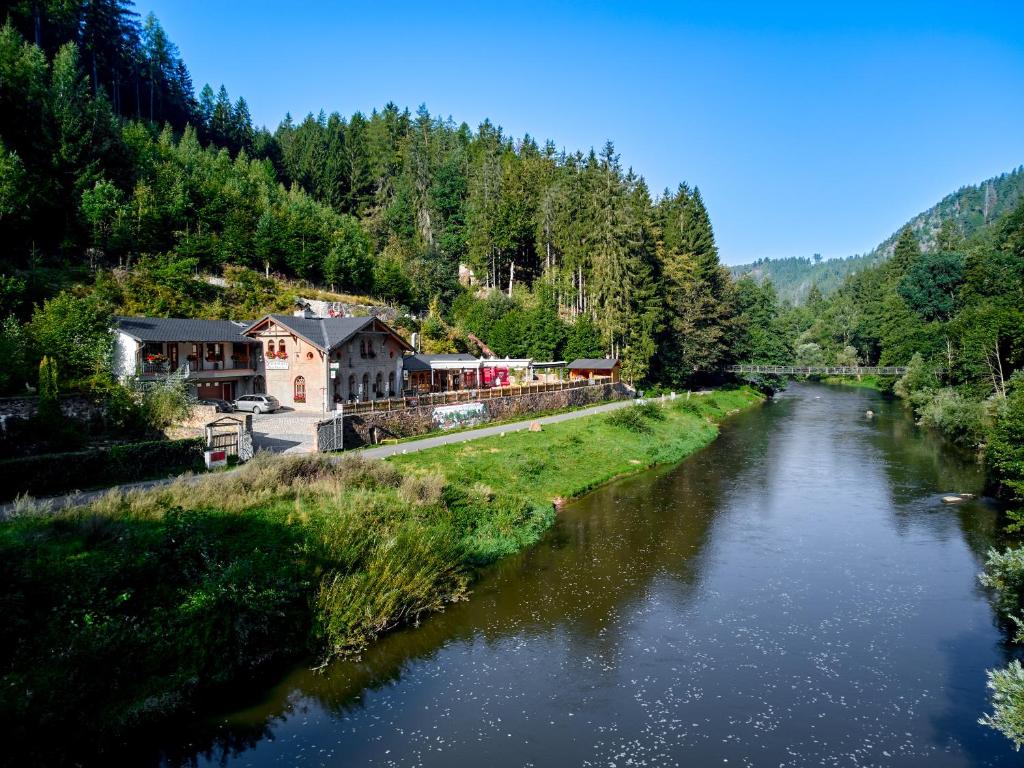 a train traveling down a river next to a forest at Apartmány Svatošské skály in Loket