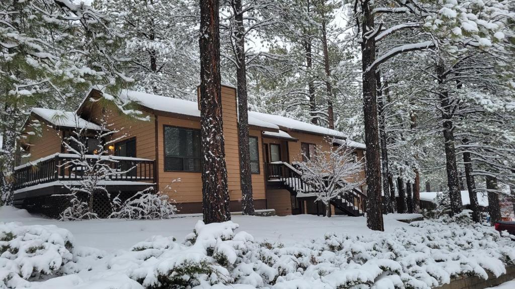 een blokhut in het bos in de sneeuw bij Cheerful Kathys Cabin, Hot Tub, King Bed, Airport, Snowbowl, NAU, Downtown attractions! in Flagstaff