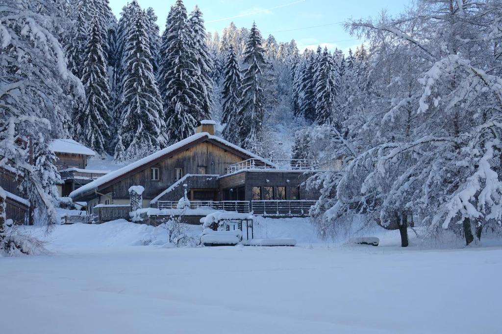 dom pokryty śniegiem przed drzewami w obiekcie Auberge De La Poulcière w mieście Gérardmer