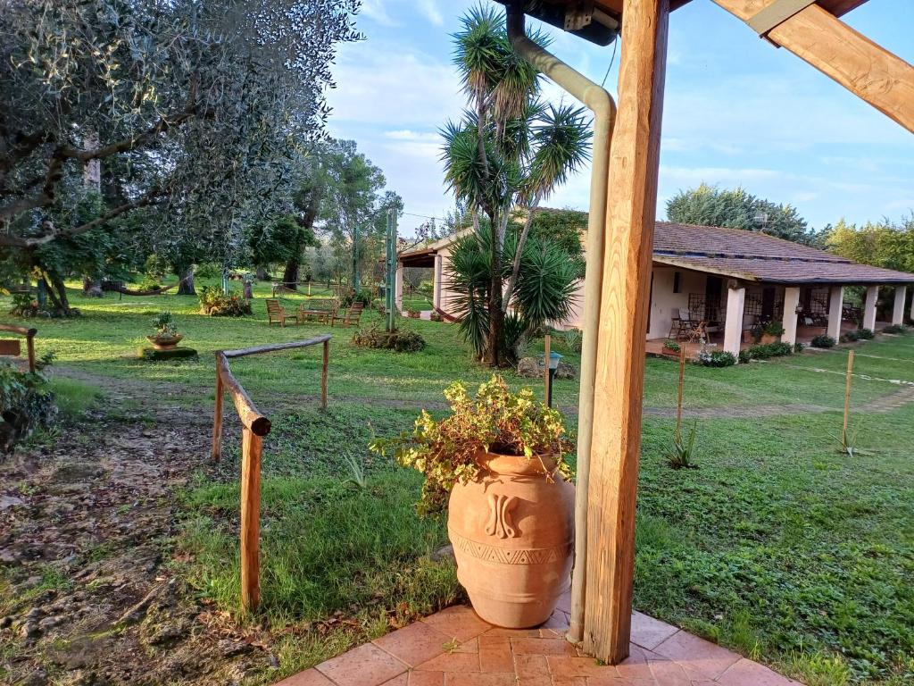 Kebun di luar Agriturismo Bio Pian Dei Casali