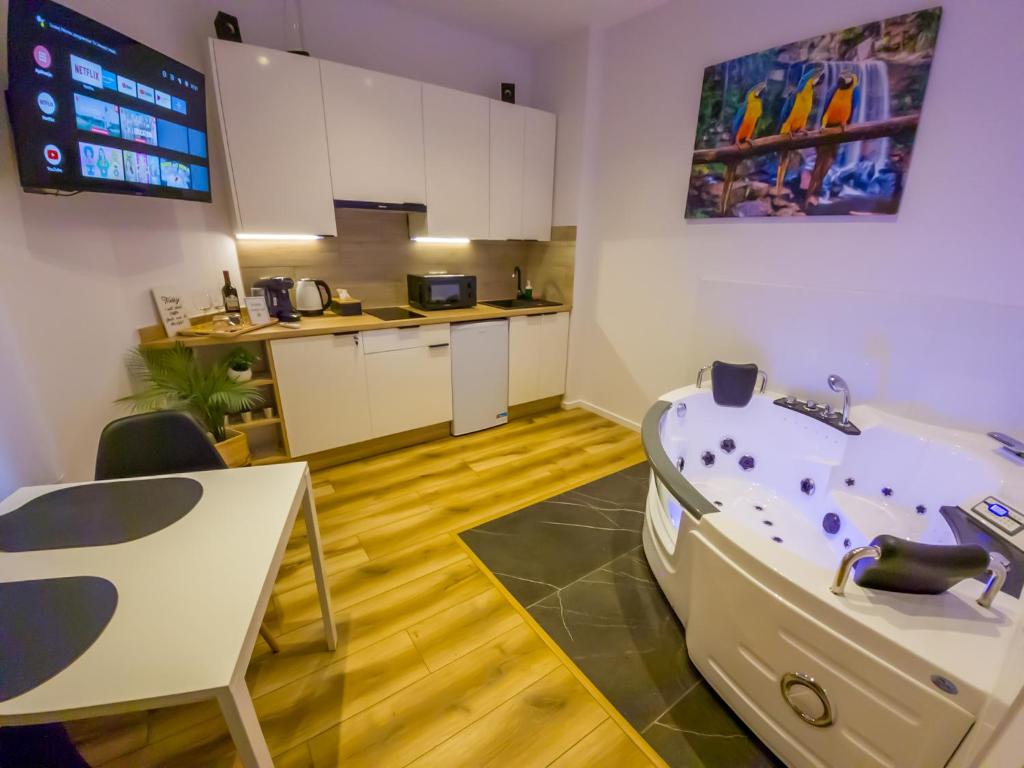 Kuhinja oz. manjša kuhinja v nastanitvi Punkt - Apartamenty z jacuzzi w centrum Katowic