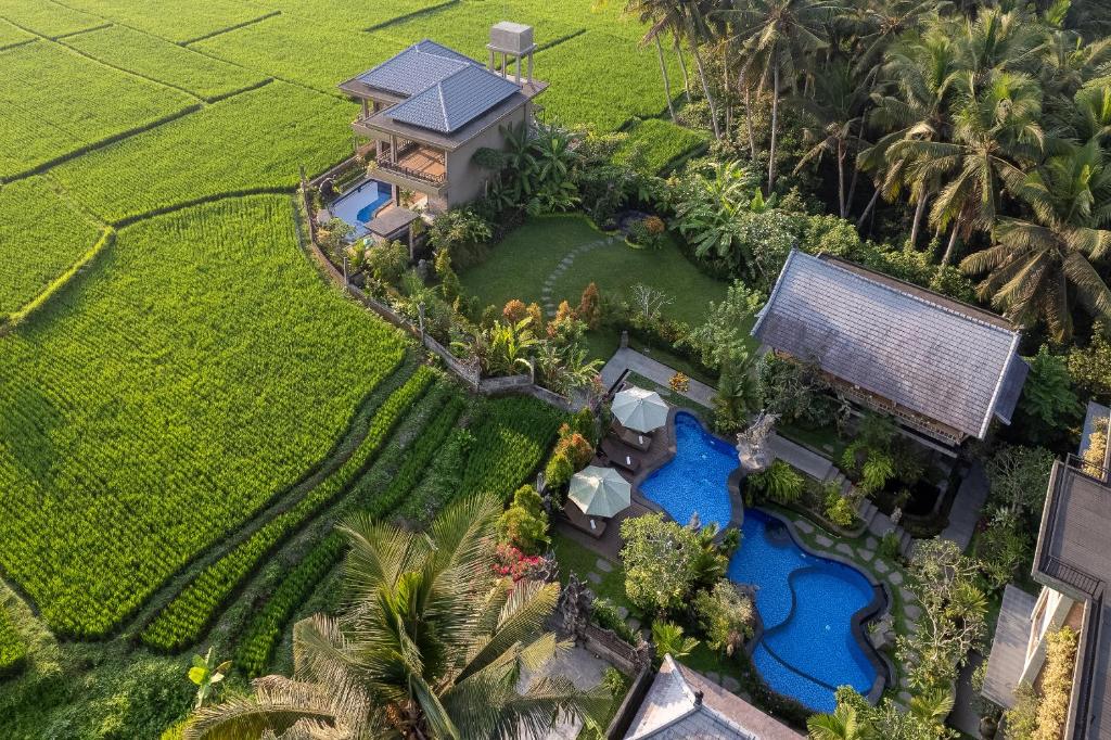 Puutarhaa majoituspaikan Gynandha Ubud Cottage ulkopuolella