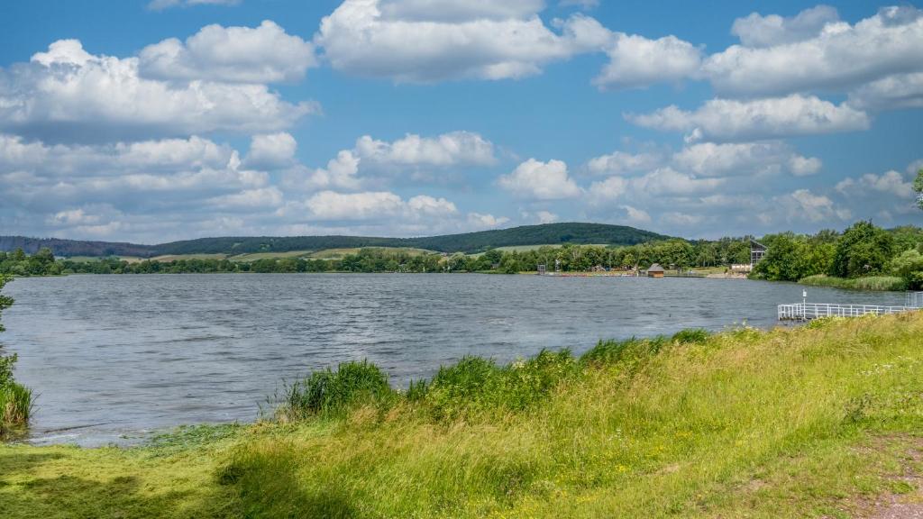 a large body of water with trees and mountains at BohnApartments Juwel am See, mitten in der Natur - gratis Parkplatz - Kamin - WLAN - Nähe Erfurt in Kranichfeld