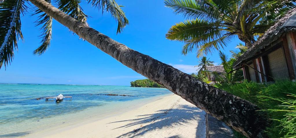 - une plage avec un bateau dans l'eau et des palmiers dans l'établissement KINTANA LODGE, sur l'île aux Nattes