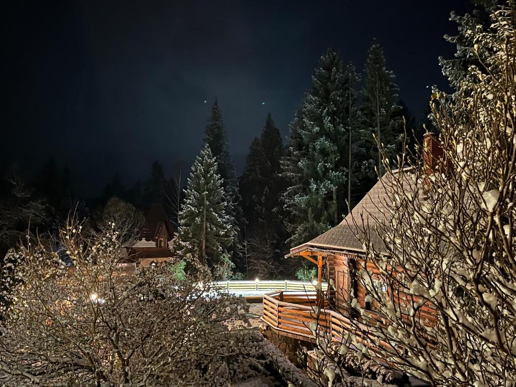 une cabine dans la neige la nuit avec des arbres dans l'établissement Complex Hyzhky, à Yaremtche