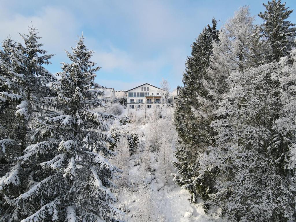 Landhotel Fernsicht žiemą