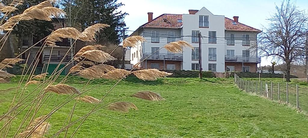 a large white house with a field of grass at Onix-Vital Apartman Orfű in Orfű