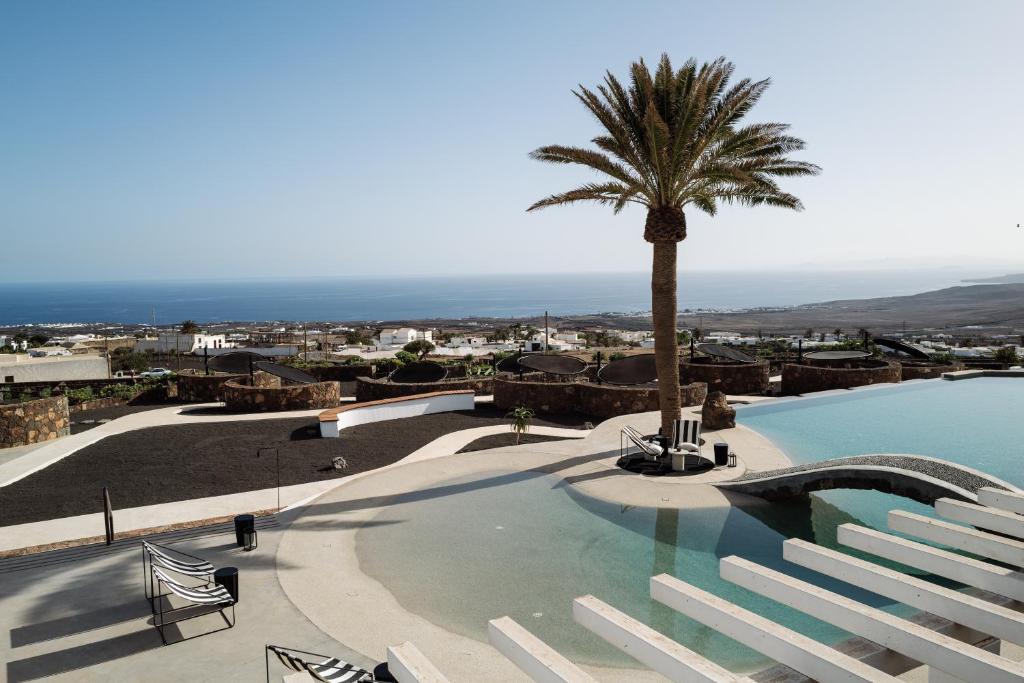 uma grande piscina com uma palmeira no topo em César Lanzarote Luxury Boutique Hotel - Adults Only em La Asomada