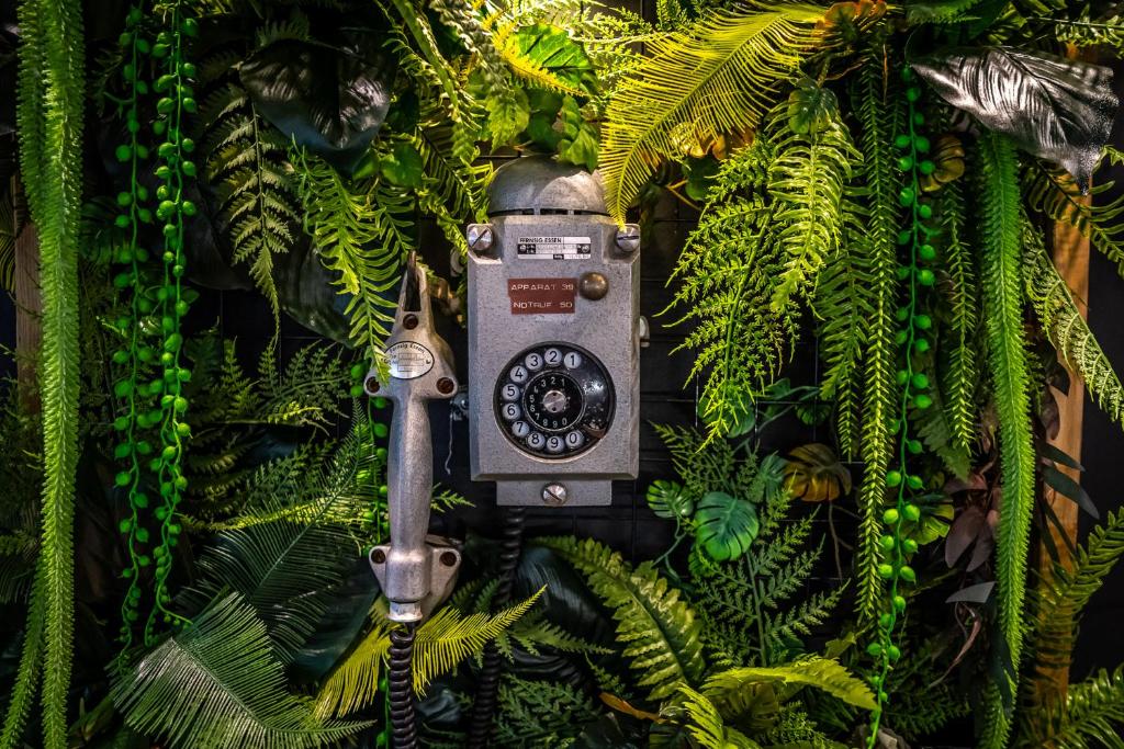 een camera hangend aan een boom met planten bij Seven Hotel Bytom - Katowice in Bytom