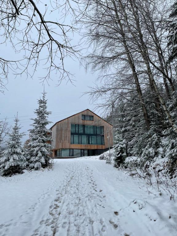 ALPINA apartment in the mountains durante el invierno