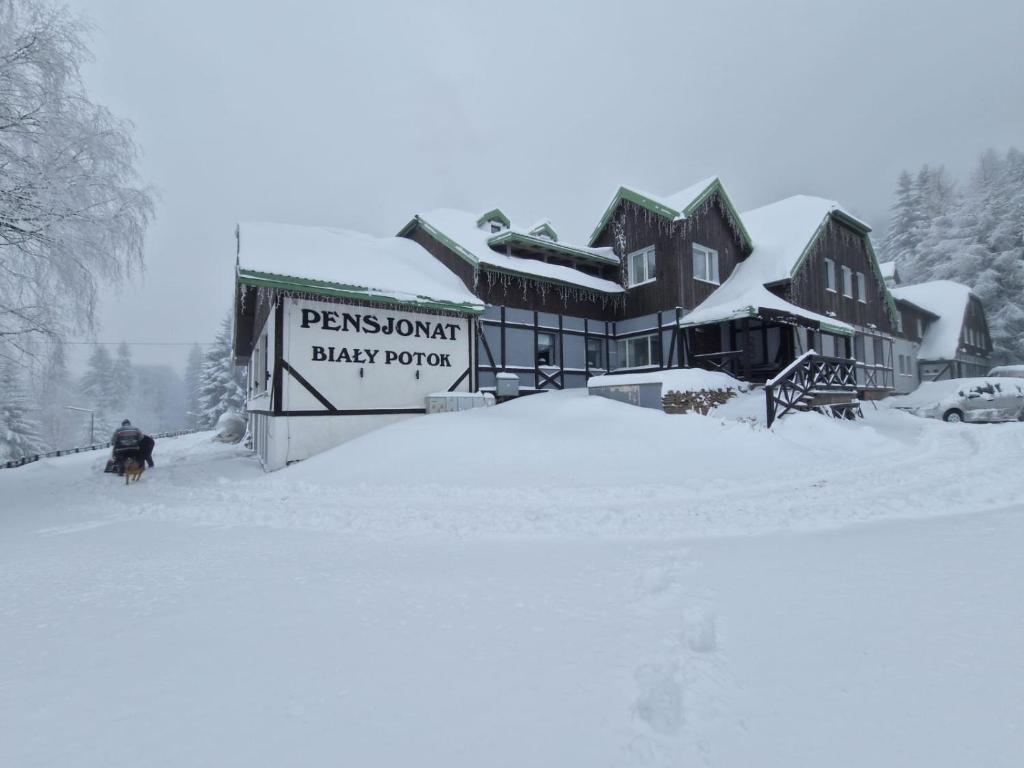 Biały Potok during the winter