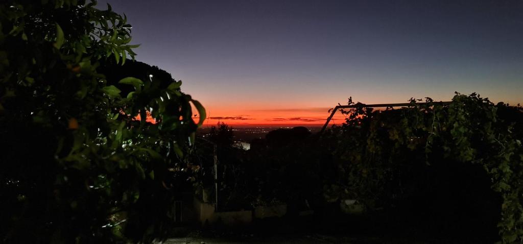 El amanecer o atardecer visto desde la casa de vacaciones