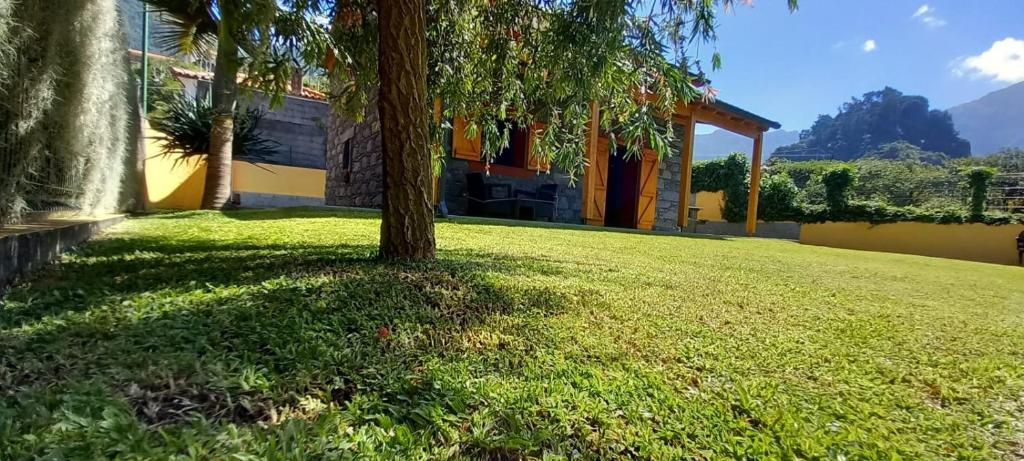 un arbre dans la cour d'une maison dans l'établissement Refúgio do Limoeiro, à São Vicente