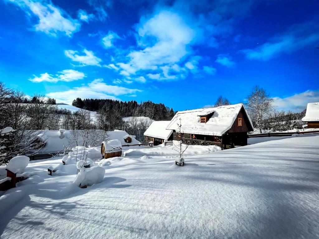 Traditional deer Cabin with Sauna зимой