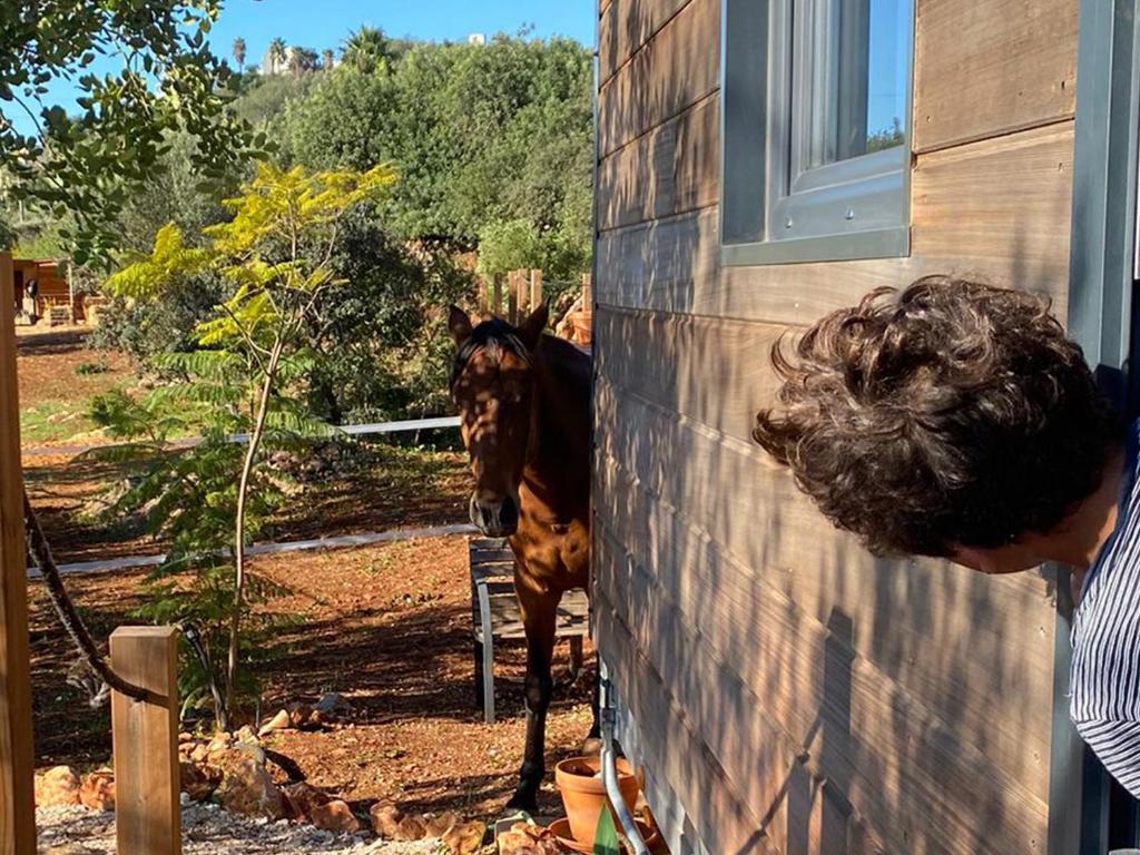 Vrt u objektu Location Tiny House Loule