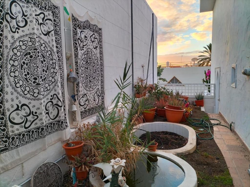 eine Terrasse mit Topfpflanzen und einem Teich in der Unterkunft VV Las Buganvillas MASPALOMAS - Cocina y habitaciones con baños privados in Maspalomas