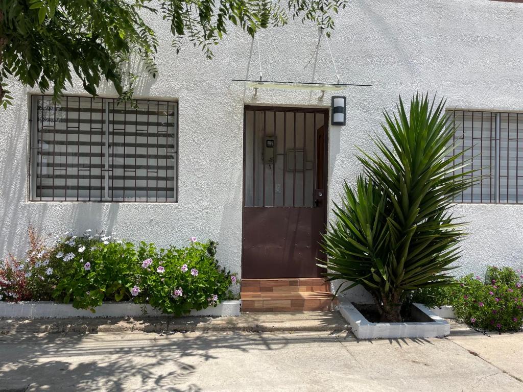 a house with a brown door and some plants at Alojamientos en Torrealba, Recreo in Viña del Mar