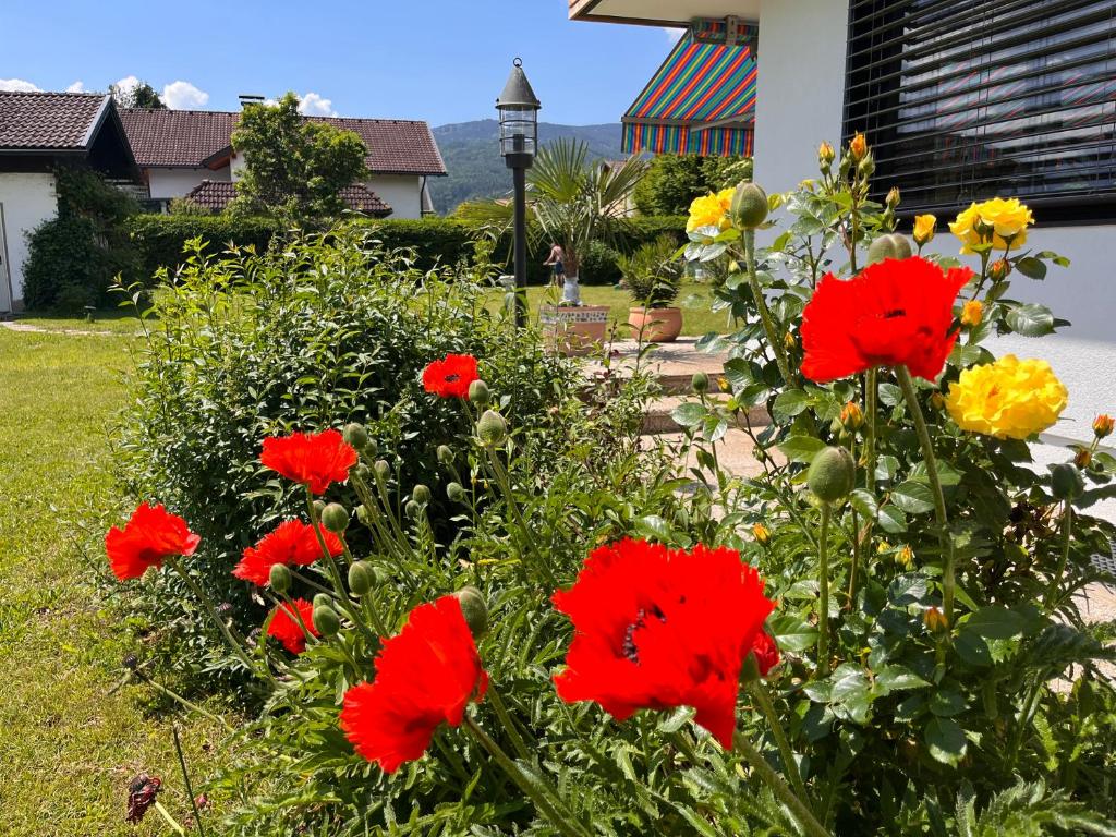 Dārzs pie naktsmītnes Haus Bergblick