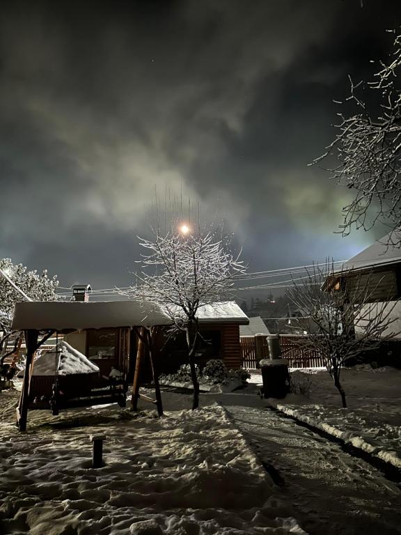 a snow covered yard with a tree and a street light at Три-О Апартаменти з балконом, без сусідів за стінкою, для 2-4 осіб in Slavske