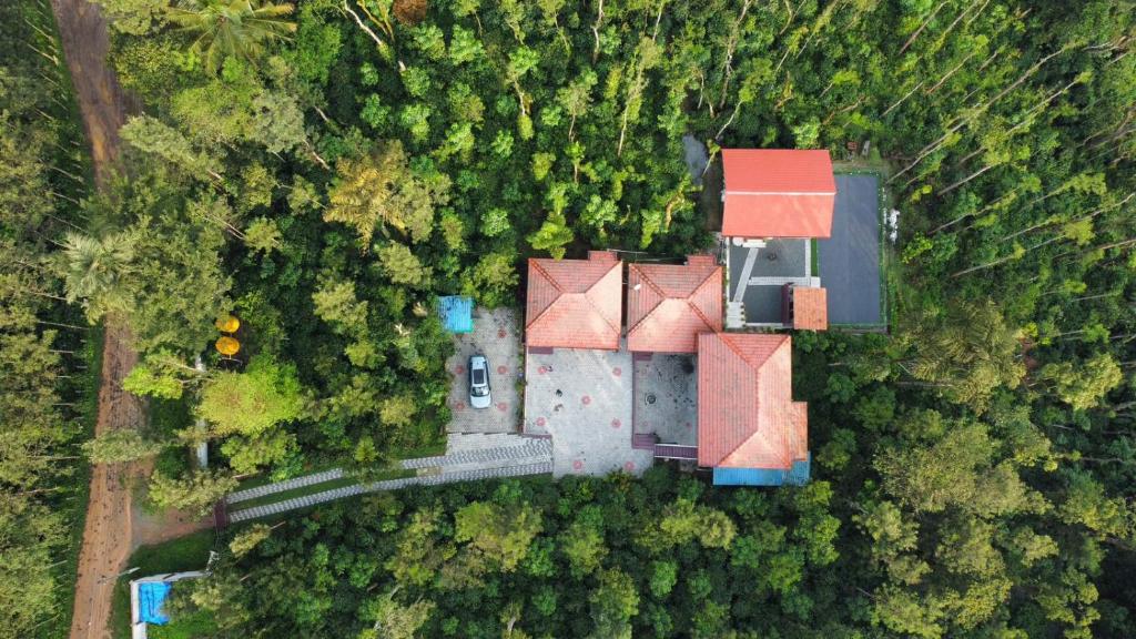 an aerial view of a house in the forest at The Brown and Brew Homestay in Chikmagalūr