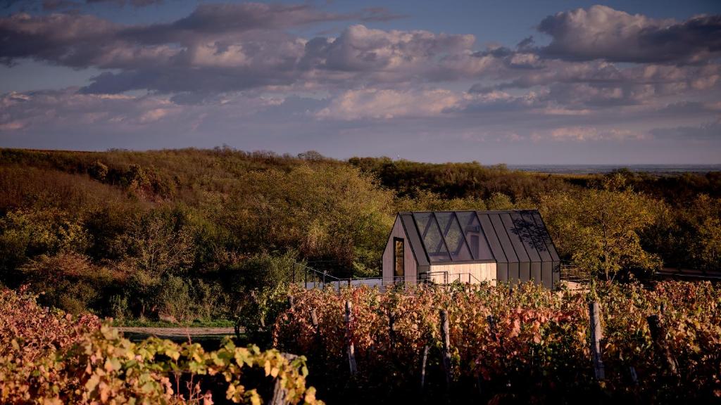 une grange au milieu d'un champ de fleurs dans l'établissement CAMPY ECO HOUSE • EGER, à Ostoros