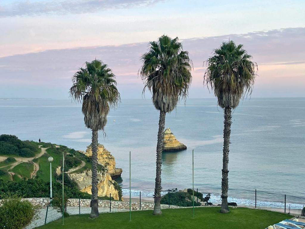 three palm trees in a park with the ocean at Lagos Fly & Sea View Apartment in Lagos