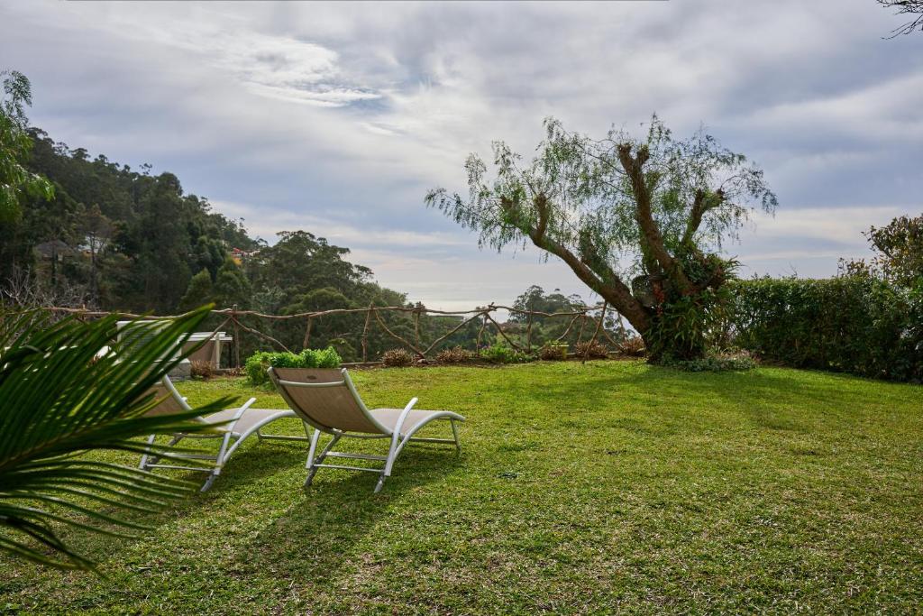 twee stoelen in een tuin met een boom bij Casas Maravilha by Madeira Sun Travel in Calheta