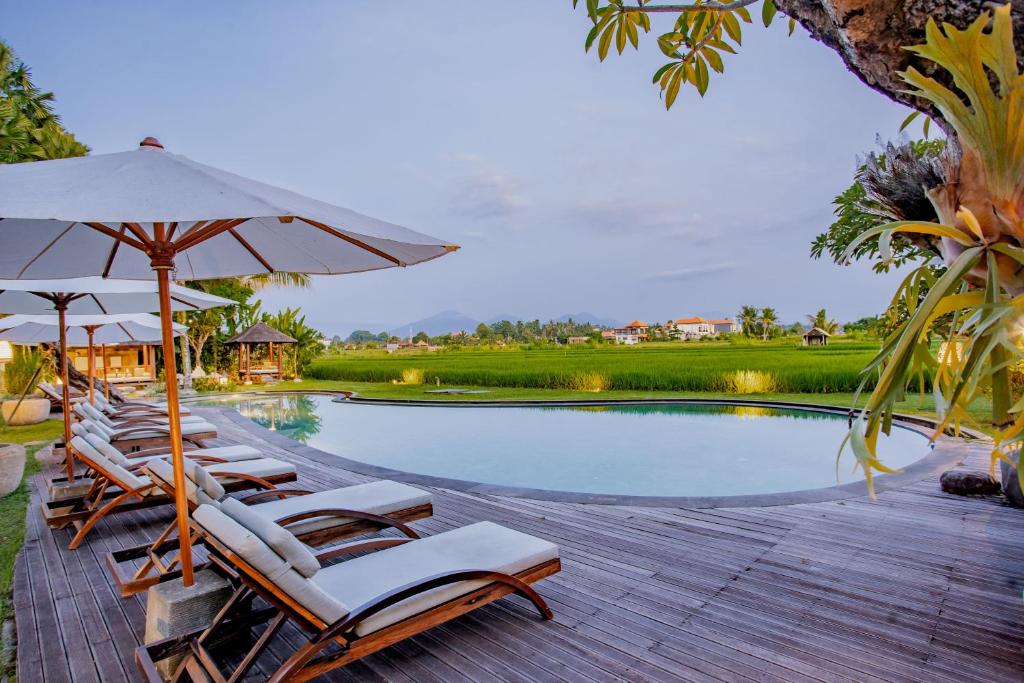 eine Reihe von Stühlen und Sonnenschirmen neben einem Pool in der Unterkunft Arya Villas Ubud in Ubud