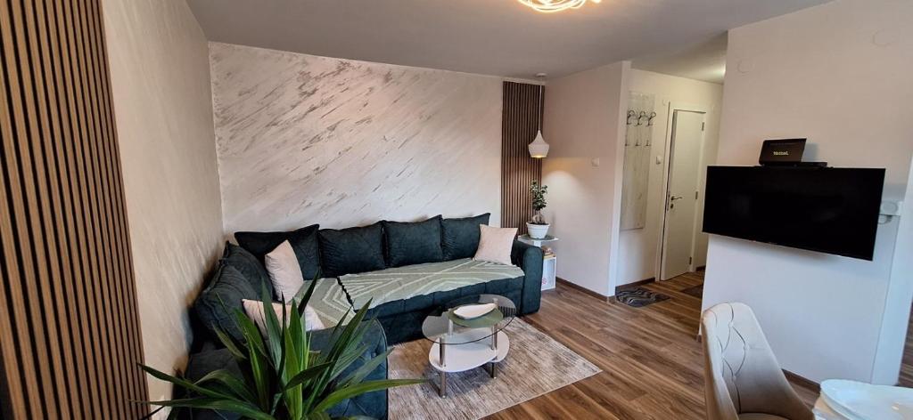 a living room with a couch and a tv at Apartman Bonsai in Subotica