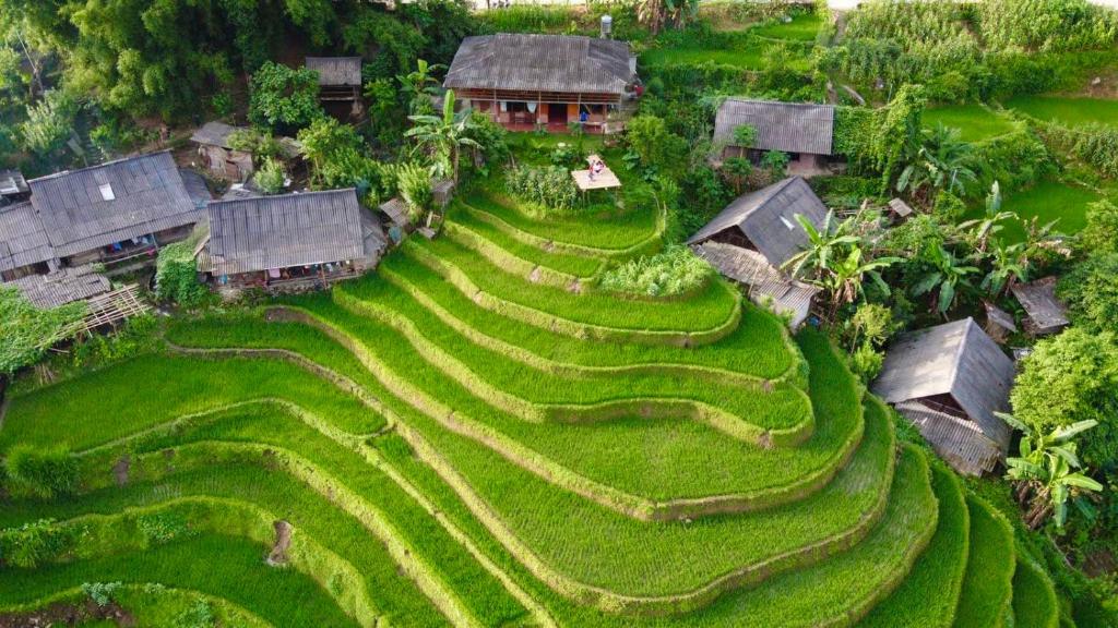 Un jardín fuera de My's Homestay sapa